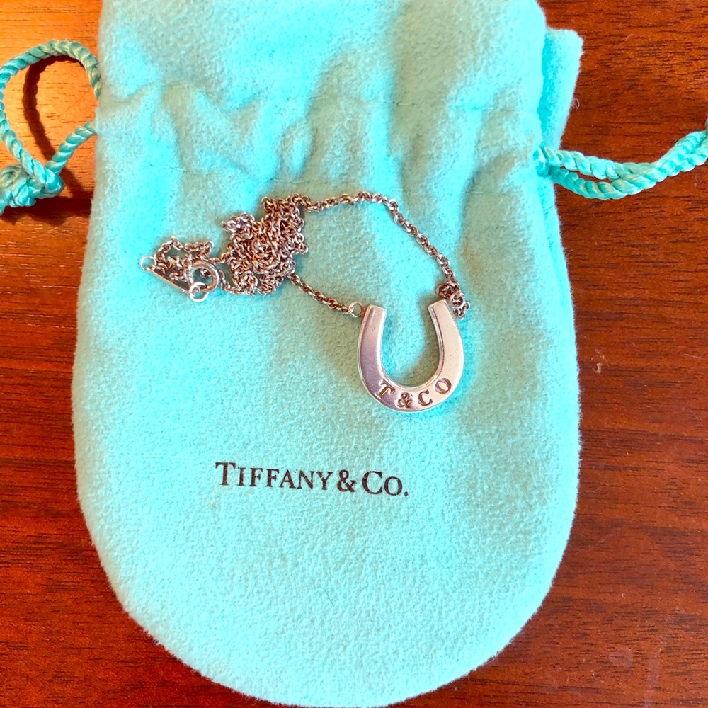 Tiffany & Co horseshoe necklace